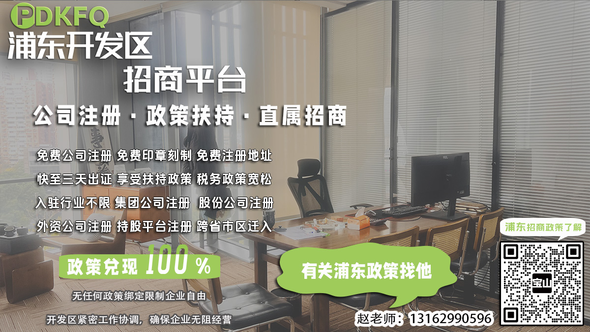 浦东临港园区企业未实缴资本利息税前扣除申报需要哪些税务意见书？